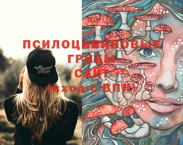 mdma Ветлуга