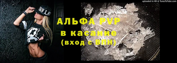 прущая мука Гусиноозёрск