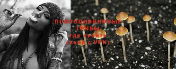 прущая мука Гусиноозёрск